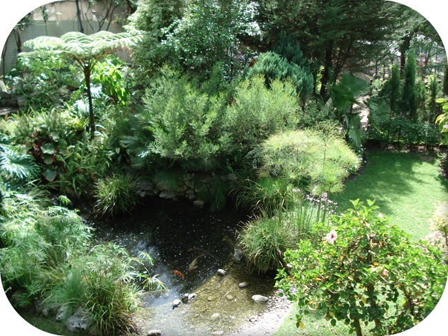 jardin botanique de gibraltar