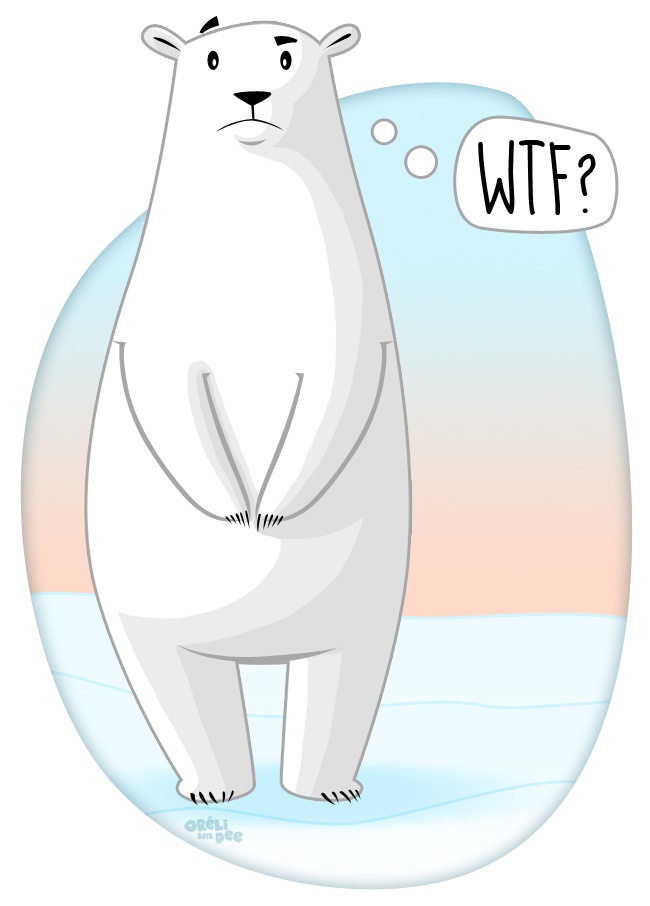 polar bear, ours polaire