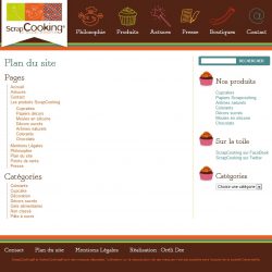 Screenshot template wordpress Plan du site