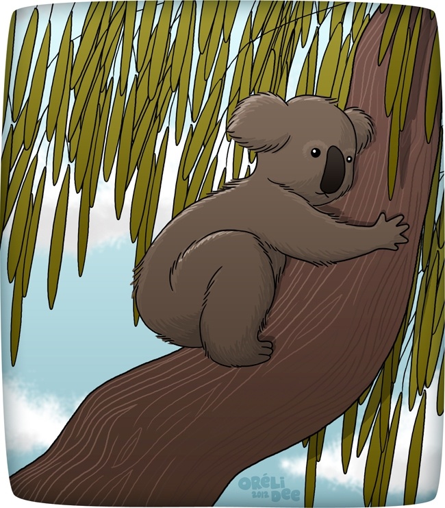 Koala - Illustration